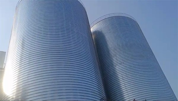 荆州2座混凝土高架卷板仓